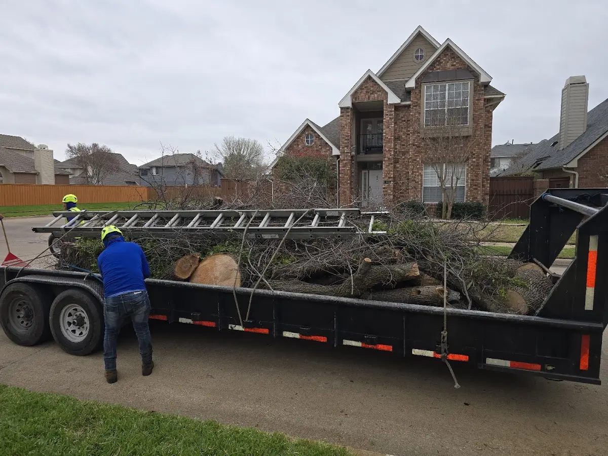 Expert Tree Removal with proper safety equipment in East Smithfield